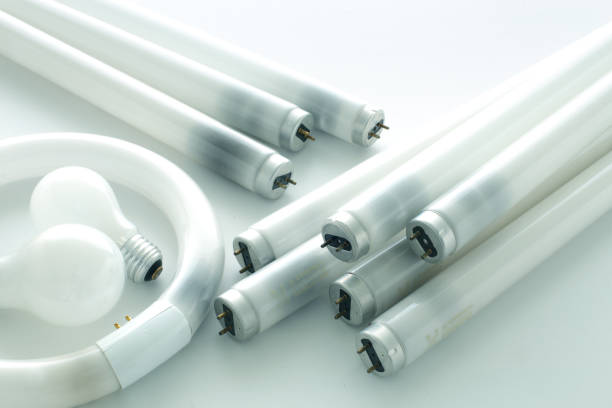 Fluorescent tubes and light bulbs collected for responsible recycling and disposal.